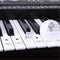 88 Keys 61 Keys 54 Keys Transparent Piano Keyboard Stickers Electronic Keyb