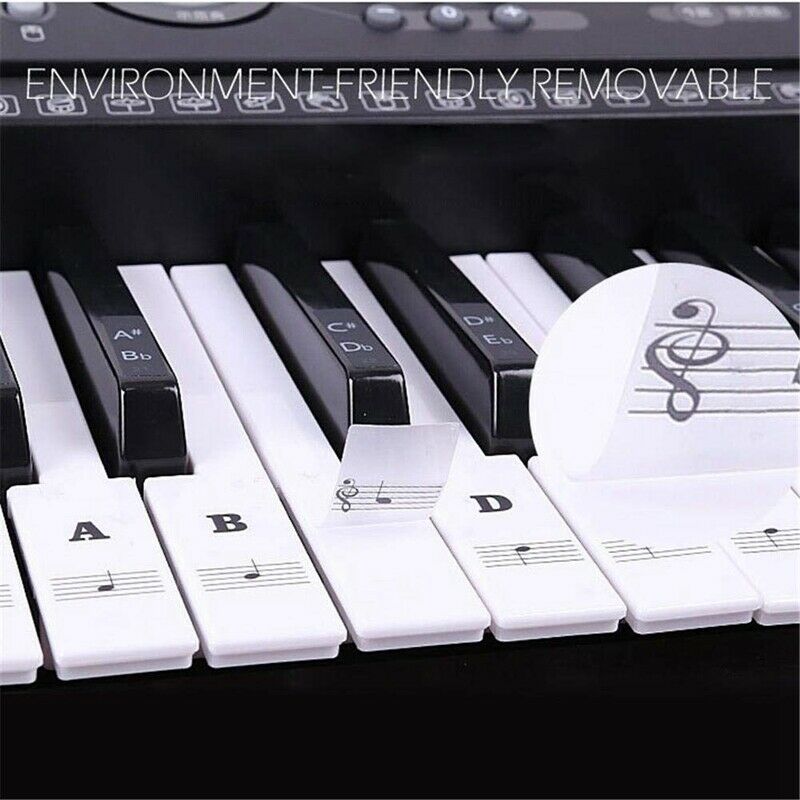 88 Keys 61 Keys 54 Keys Transparent Piano Keyboard Stickers Electronic Keyb