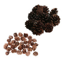 40pcs Mini Natural Dried Pine Cones for Xmas Tree Hanging Decors