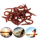Soft Bait Carp Fishing Lure Silicone Smell Red Worm Iscas Artificiais pesca