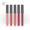 Flash Moment Matte Matte Lip Gloss Non-Stick Cup Lip Glaze Velvet Waterproo P3W7