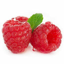 200Pcs Red Raspberry Plant Seeds Rubus Idaeus Bush Fruit Seeds Garden Supplie LJ