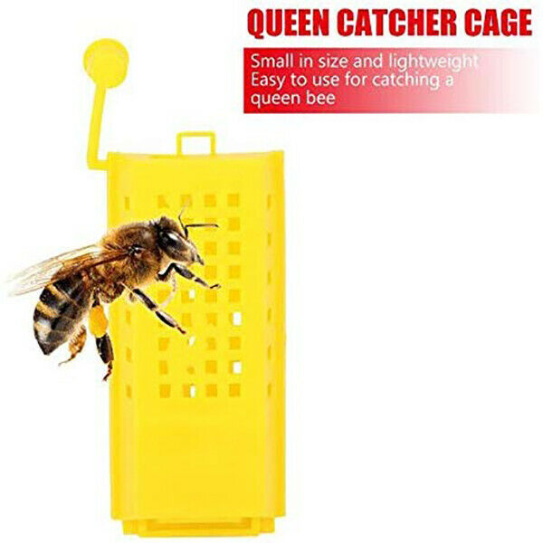 50Pcs Beekeeping Rearing Cup Kit Plastic Bee Queen Cages Roller Transportin