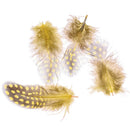 50pcs Fishing Party Decoration Dyed Guinea Fowl Feather BX