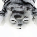 Cuddly Electronic Cat Interactive Plush Animal Robot Toys Electric Robotic Pet -