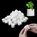 100Pcs Soiless Hydroponic Gardening Plant Tools Planted Sponge Vegetable Sys Ew