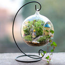 Iron Hanging Plant Stand Glass Flower Plant Vase Stand Terrarium Container