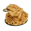 Feng Shui Money Lucky Fortune Oriental Chinese Wealth Frog Toad Coin Decor Gift