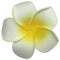 100 pcs Hawaiian Frangipani Foam Flower Head Decor for Wedding Crafts - YellY5N2