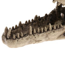 Dinosaur Shape Reptile Hideouts, Lizard, Spider and Aquarium   Hide Cave