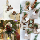120 Pieces Rustic Natural Decorative Pine Cones Pinecone Dried Flowers for