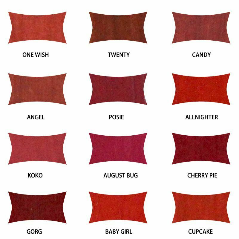 Fana 12 Pcs Non-Stick Cup Matte Colorful Fruity Lip Gloss Lipstick Set Gift W8H4