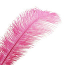 New Pretty Wedding Guest Book Signing Pen Ostrich Feather Long Quill Signin H8X7