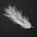 100pcs Fluffy Marabou Feathers Party Wedding Trim Trimming Decor DIY 8-15 c