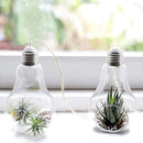 Glass Hanging Vase Planter Succulent Air Plant Pot Landscape Ornament 2-pot