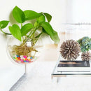 1Pc High Glass Hanging Flower Planter Vase Terrarium Container Home Garden