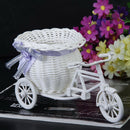 Plastic Tricycle Bike Design Flower Basket Container For Home Wedding Decor  3C