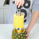 1x Pineapple Corer Slicer Peeler Stainless Steel Kitchen Practical Easy  TGY