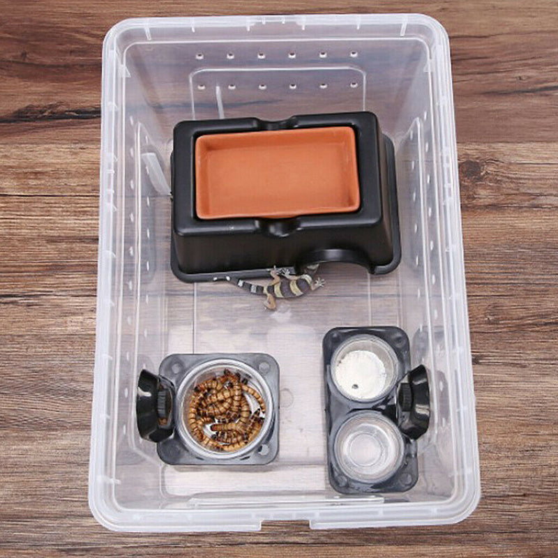 2x Reptile Feeding Dish Food Water Bowl Feeder Bowl Tray Suction Cup