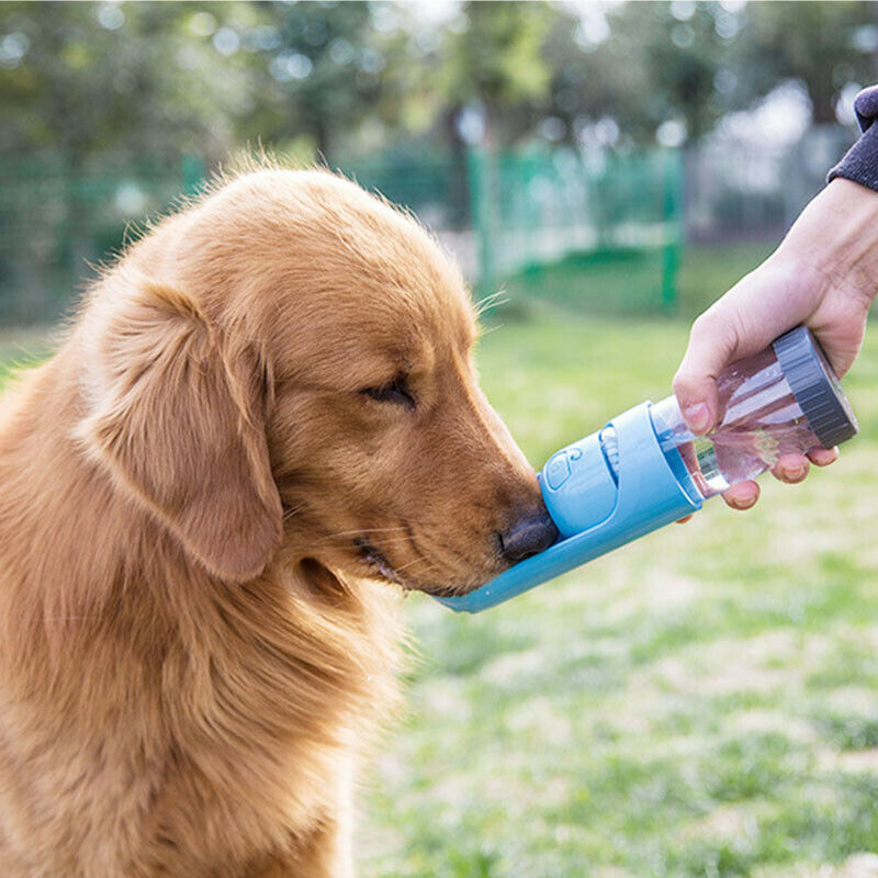 300Ml Portable Pet Dog Water Bottle For Small Large Dogs Pet Product Travel