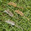 8 Pieces Realistic Mini Hairy Rats Mouse for Best Halloween Decoration Garden