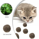 Cats Natural Mint Edible Ball Kitten Interactive Bite Catnip Play Toys (01)