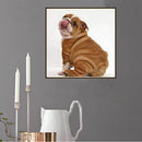 5d diy diamond painting cross stitch kit diamond embroidery dog diamond ani L5C3