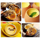 New Practical Metal Egg Scissors Egg Topper Cutter Shell Opener Stainless St Ew