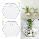 2 Pieces Wall Hanging Plant Terrarium Glass Planter for Home Decor, Hexagon
