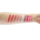 POPFEEL10 Farben Matte Blush Palette V2H2 U5P2