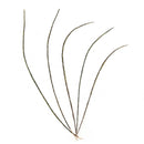 Fly Tying Peacock Herl Pack 3 to 7 Inch Feathers Wire Tying Materials 3C