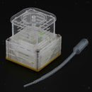 Clear Ant Feeding Nursery Box Ant Farm House Castle Insect Terrarium  S