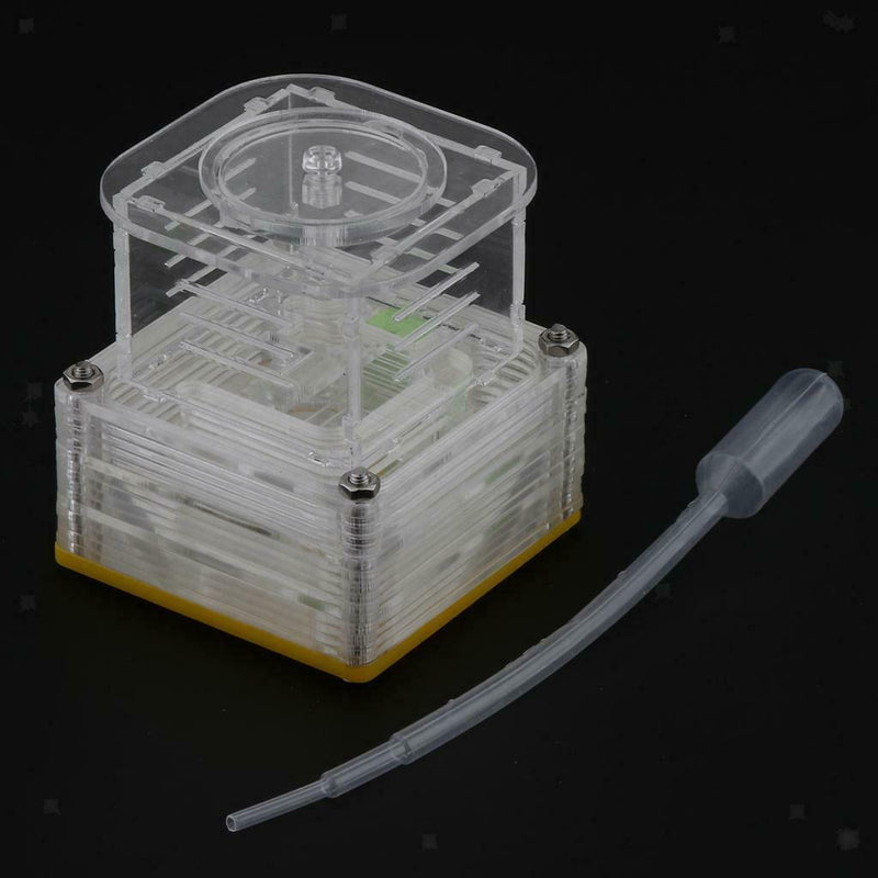 Clear Ant Feeding Nursery Box Ant Farm House Castle Insect Terrarium  S