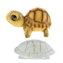 Exquisite and Durable Turtle Hiding Cave Simulation Aquarium Supplies Fish Tank