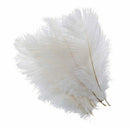 10 Pieces White Natural Ostrich Feather 20-25cm Wedding DIY R6E3