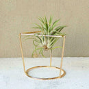 Nordic style geometric iron rack holder metal stand with ceramic planter ta E6T1