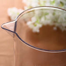 1pc Acrylic Carafe with Lid Pitcher Water Ice Tea Juice Beverage Fruit jug 2L