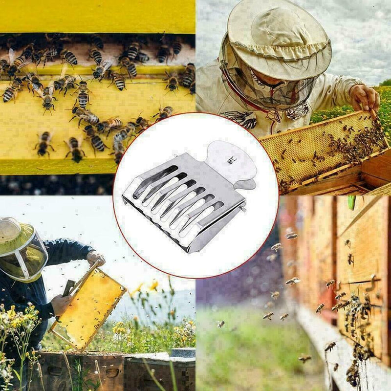 Bee Cage Prisoner Stainless Steel Queen Beekeeping Tools Equipment Accessor I3F0