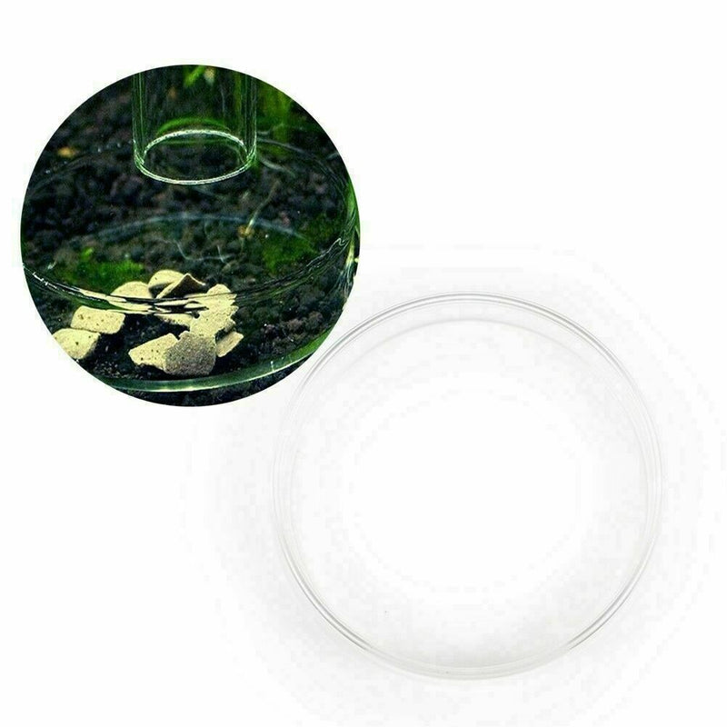 Portable Aquarium Fish Tank Clear Acrylic Shrimp Feeding Dish Feeder Nice H Z7H3
