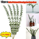 10Pcs/Bouquet Dried Natural Eucalyptus Branches Leaves Flower Decors New