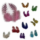 50 pcs Feather of cock Applique Sewing Decor Garment Hat DIY Jewelry 5-10 c A1B9