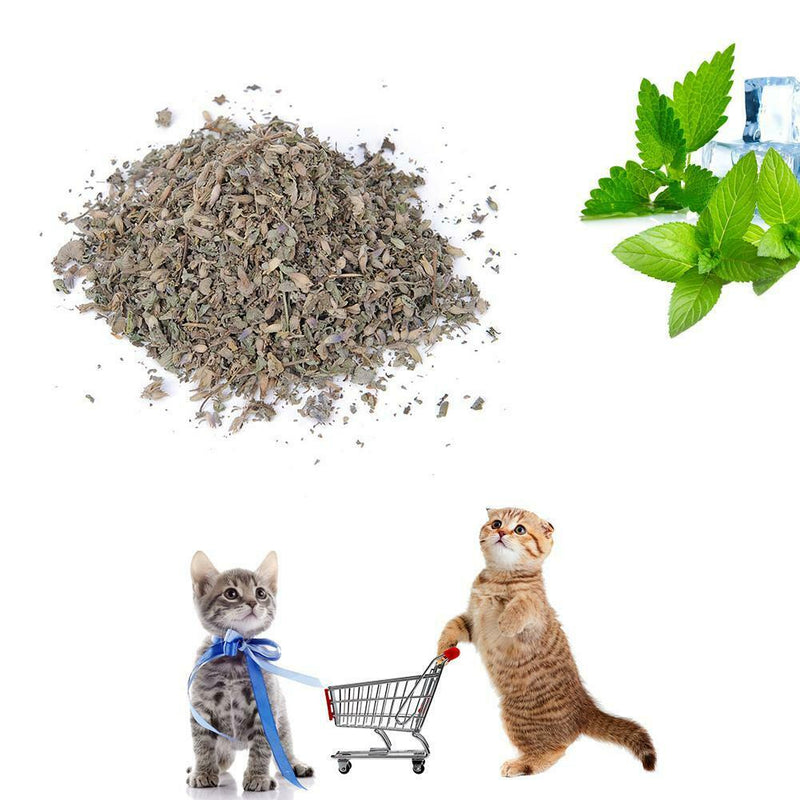 1 Box Organic Natural Premium Catnip Cattle Grass Menthol Flavor Cat Toys