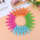 24Pcs Laundry Clothes Pins Hanging Pegs Clips Plastic Hanger Racks ClothespOZ