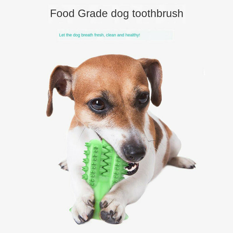 3Pieces Dog Chew Toys Teeth Cleaning Toothbrush Safe for Medium Large Dog