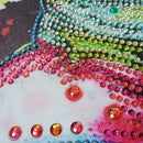 5D DIY Special-shaped Diamond Painting Cross Stitch Craft Kit (D1033 Cat)