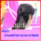 2Pcs Girl Women Topsy Tail Hair Braided Tool Ponytail Maker Easy Styling Tool Ef