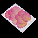 12pcs Real Pressed Dried Flower Rose Petals Scrapbooking Embellishments Pink