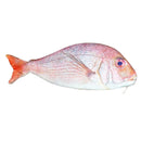 Fish shaped pencil bag pencil case box fish school pen case originality Sch M7P8