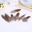 50pcs/set pheasant feathers 5-10cm chicken plumes for carnival diy craft de3cr