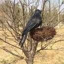 2x Artificial Realistic Birds Black Crows for Garden Halloween Decoration